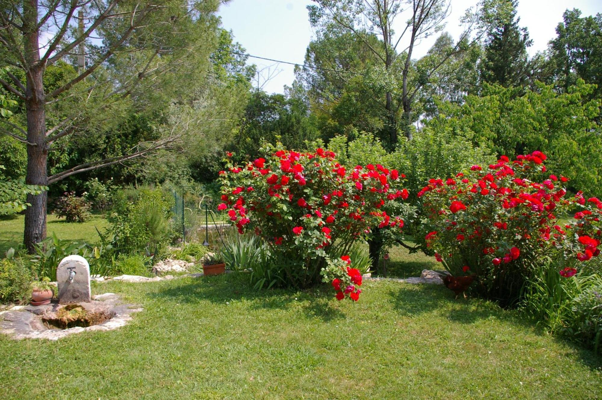 Gite La Paillote Montauroux Buitenkant foto