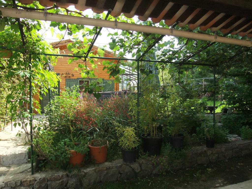 Gite La Paillote Montauroux Buitenkant foto